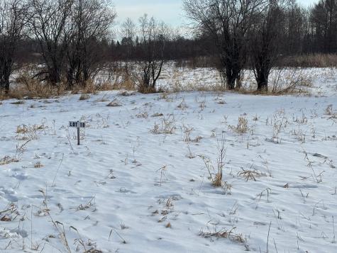 Lot 10 Irvine Avenue NW Bemidji MN 56601