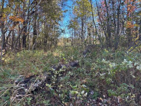 28532 460th Lane Palisade MN 55760