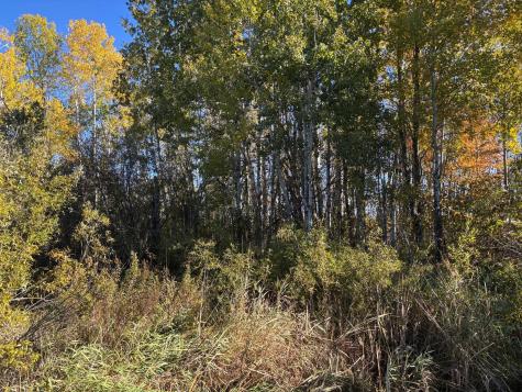 28532 460th Lane Palisade MN 55760