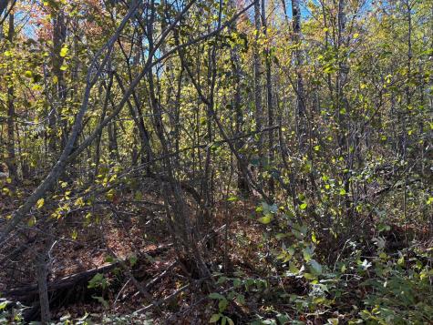 28532 460th Lane Palisade MN 55760