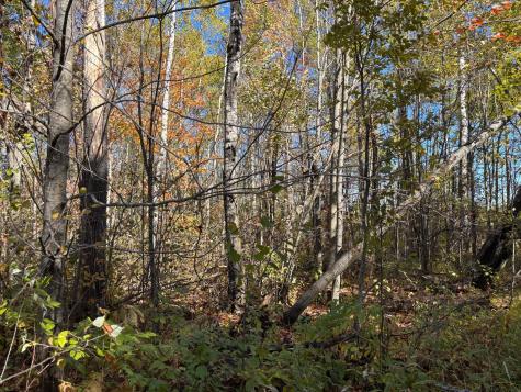 28532 460th Lane Palisade MN 55760