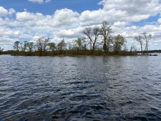 Tbd Rush Lake | Whitefish Chain Islands Cross Lake MN 56442