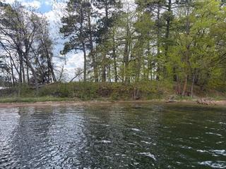 Tbd Rush Lake | Whitefish Chain Islands Cross Lake MN 56442