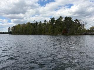 Tbd Rush Lake | Whitefish Chain Islands Cross Lake MN 56442