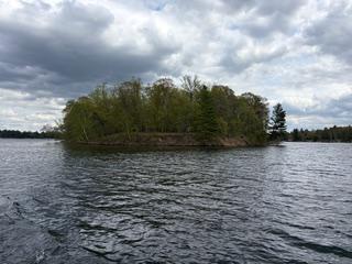 Tbd Rush Lake | Whitefish Chain Islands Cross Lake MN 56442