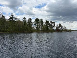 Tbd Rush Lake | Whitefish Chain Islands Cross Lake MN 56442