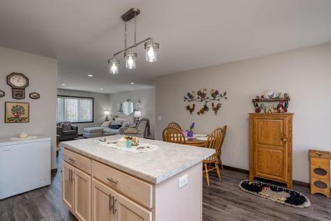 220 Maple Avenue SW Elysian MN 56028