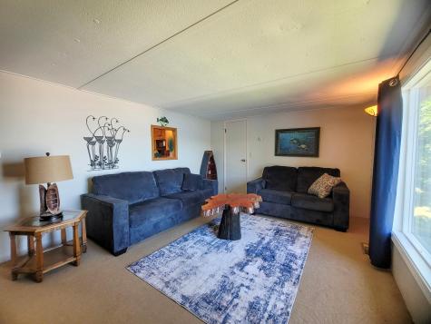39471 S Clitherall Lake Road Battle Lake MN 56515