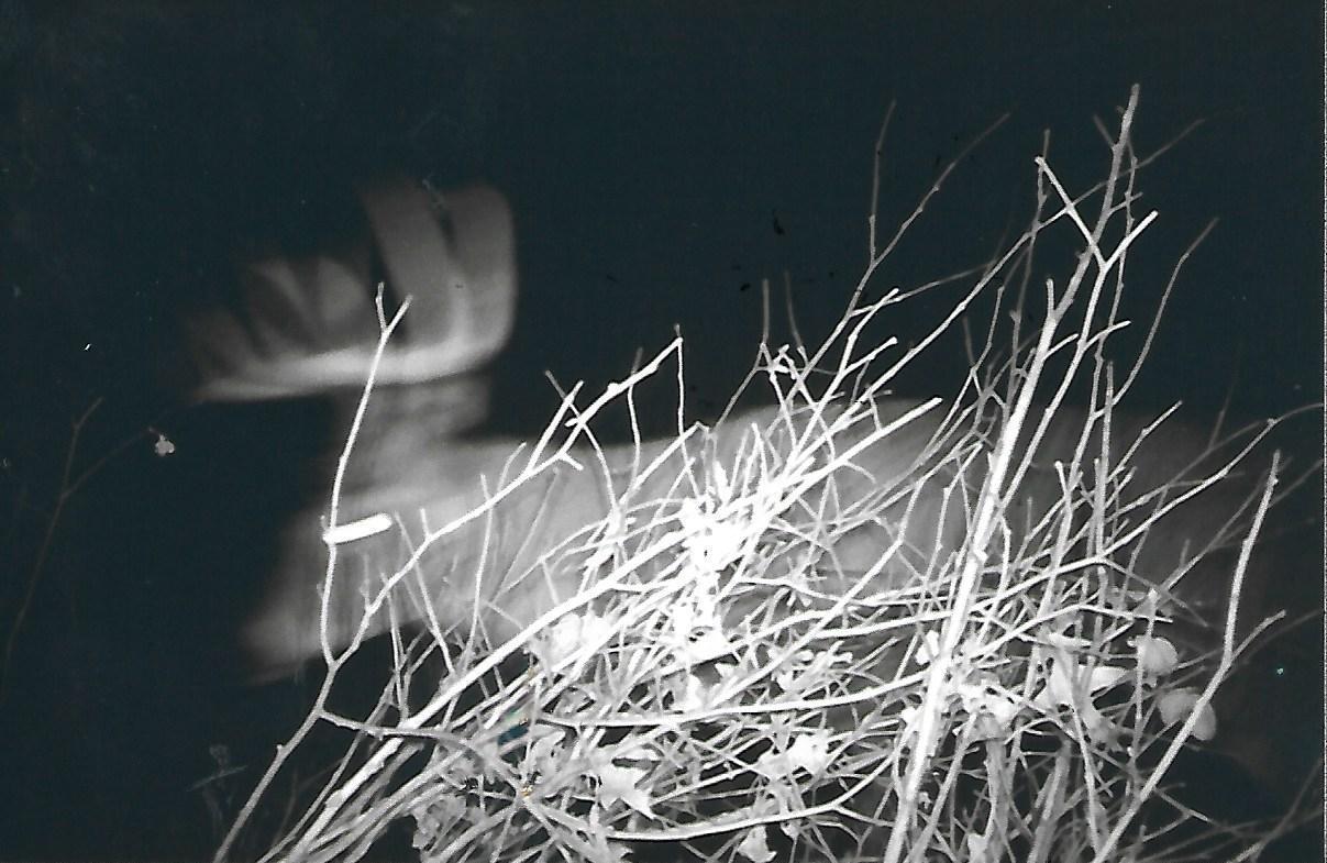 1559 Stone Lake Road SW Bemidji MN 56601