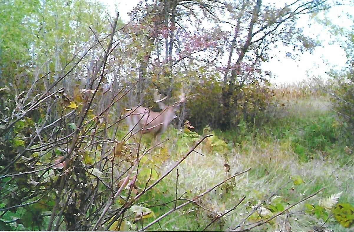 1559 Stone Lake Road SW Bemidji MN 56601