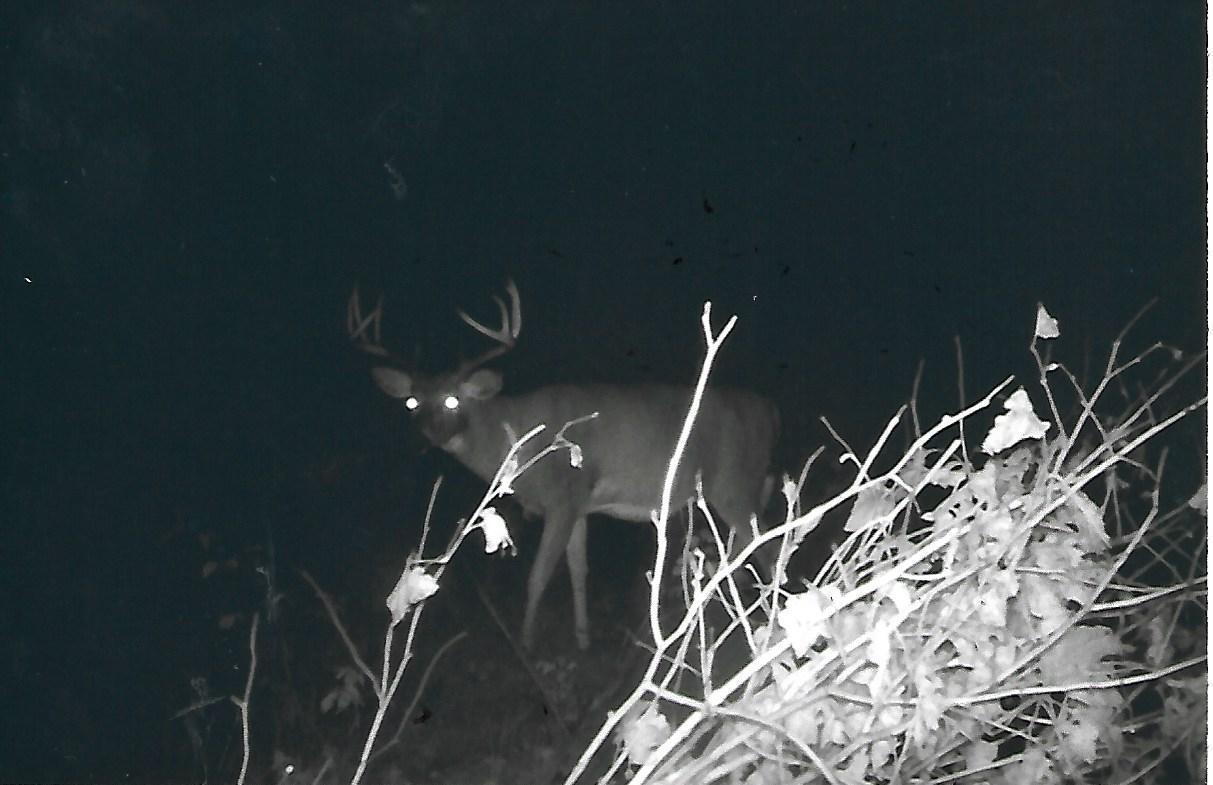 1559 Stone Lake Road SW Bemidji MN 56601