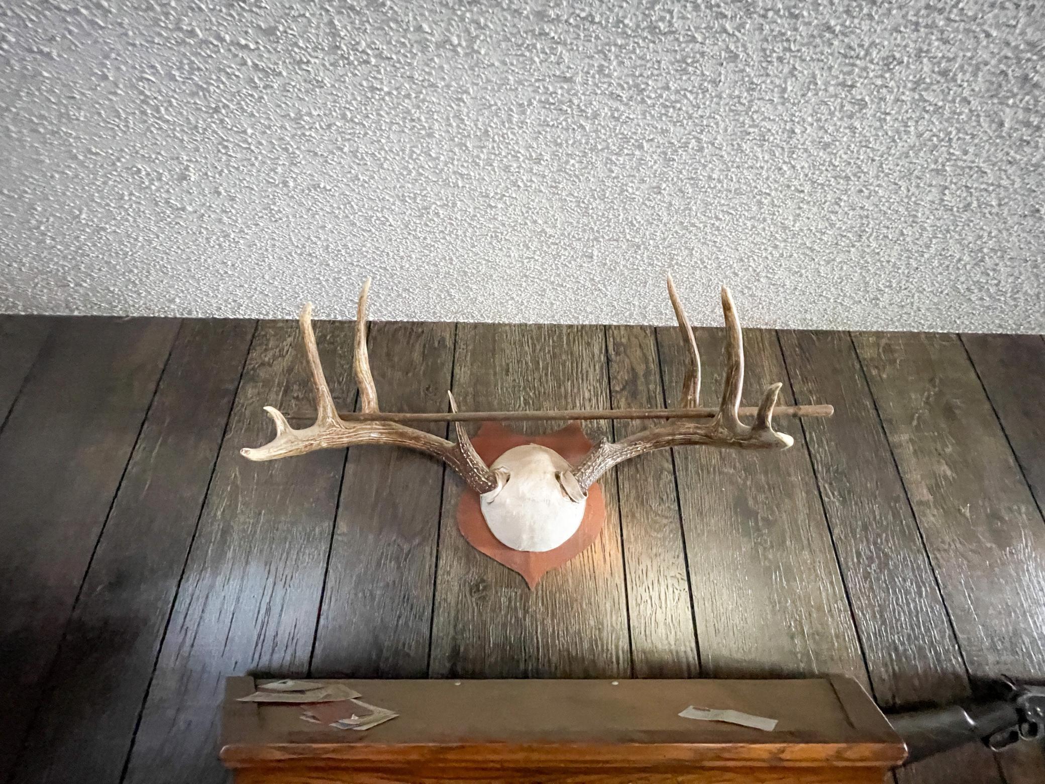 1559 Stone Lake Road SW Bemidji MN 56601