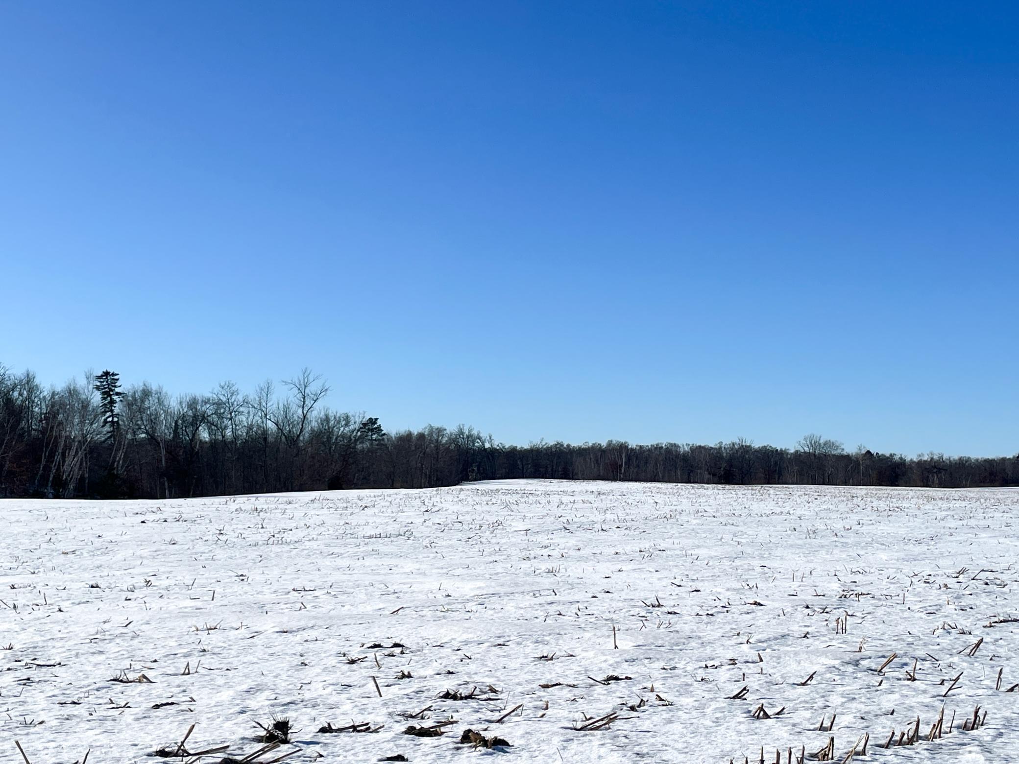 1559 Stone Lake Road SW Bemidji MN 56601