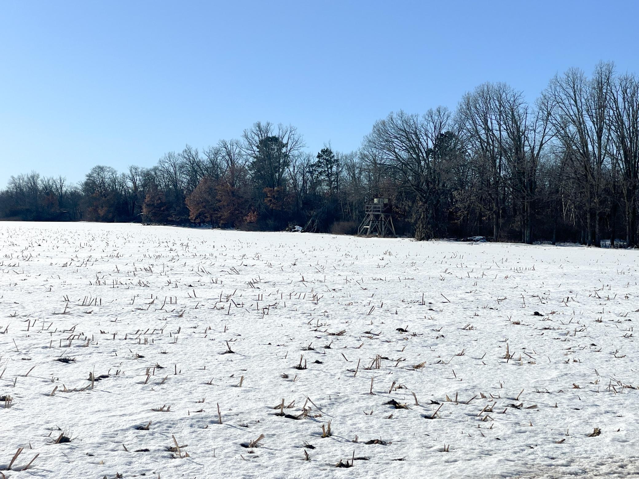 1559 Stone Lake Road SW Bemidji MN 56601