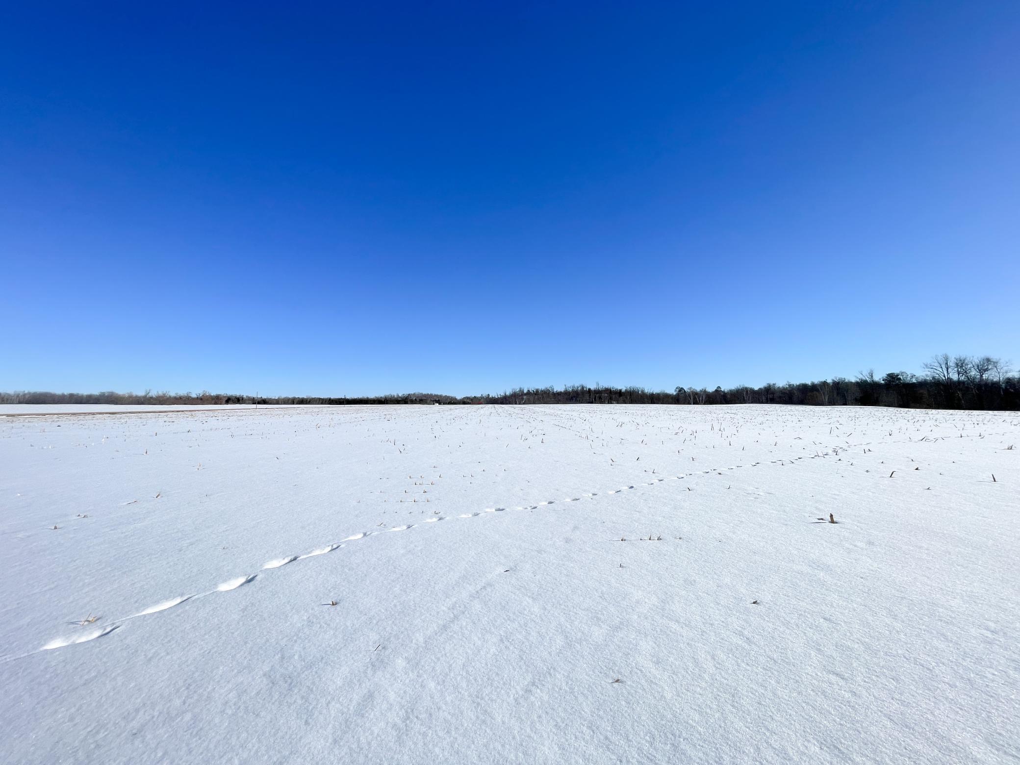 1559 Stone Lake Road SW Bemidji MN 56601