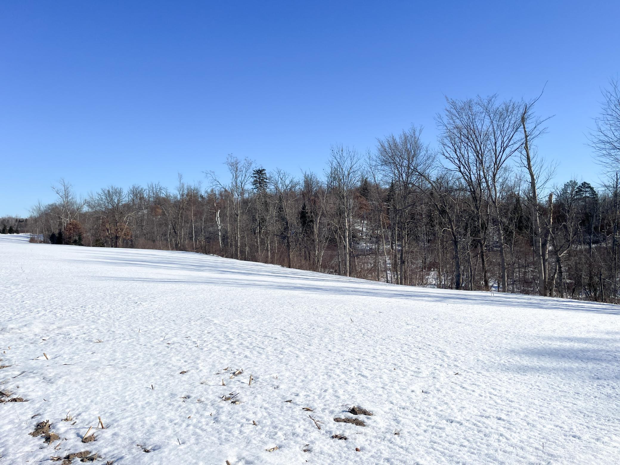 1559 Stone Lake Road SW Bemidji MN 56601