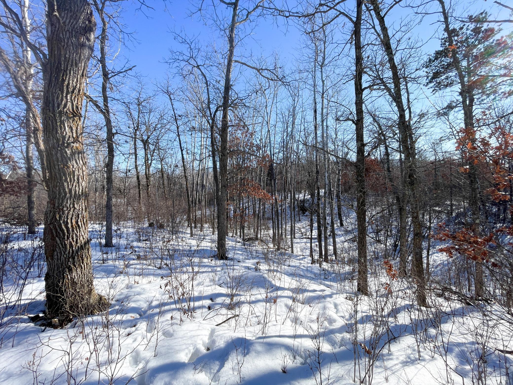 1559 Stone Lake Road SW Bemidji MN 56601