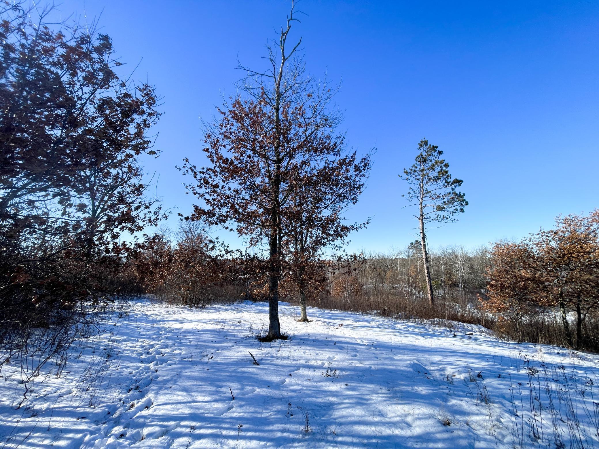 1559 Stone Lake Road SW Bemidji MN 56601