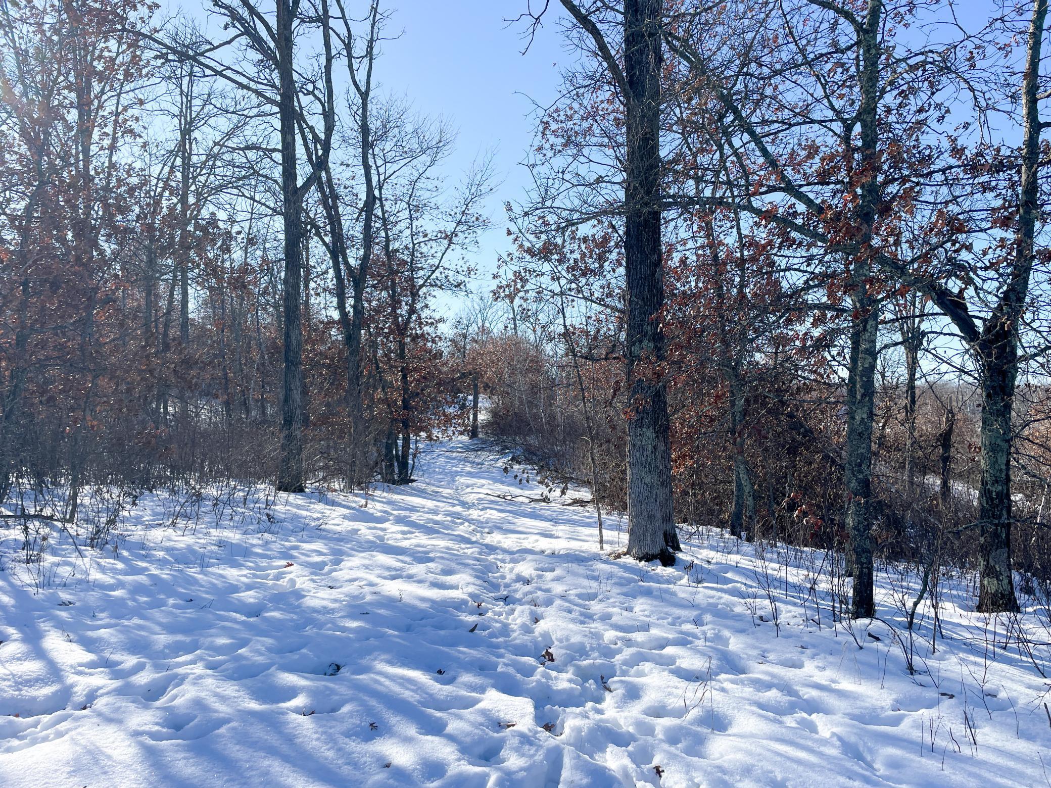 1559 Stone Lake Road SW Bemidji MN 56601