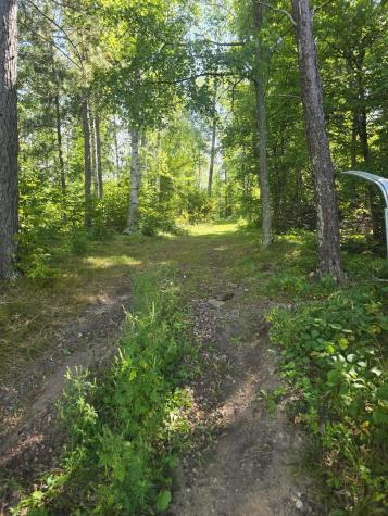 38509 Pickerel Trail Crosslake MN 56442