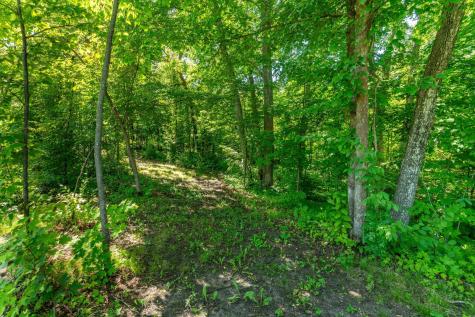 36859 Rodel Trail Richville MN 56576