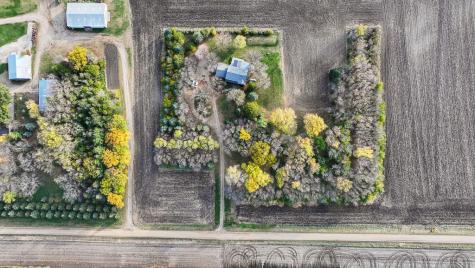 15450 260th Street Milroy MN 56263