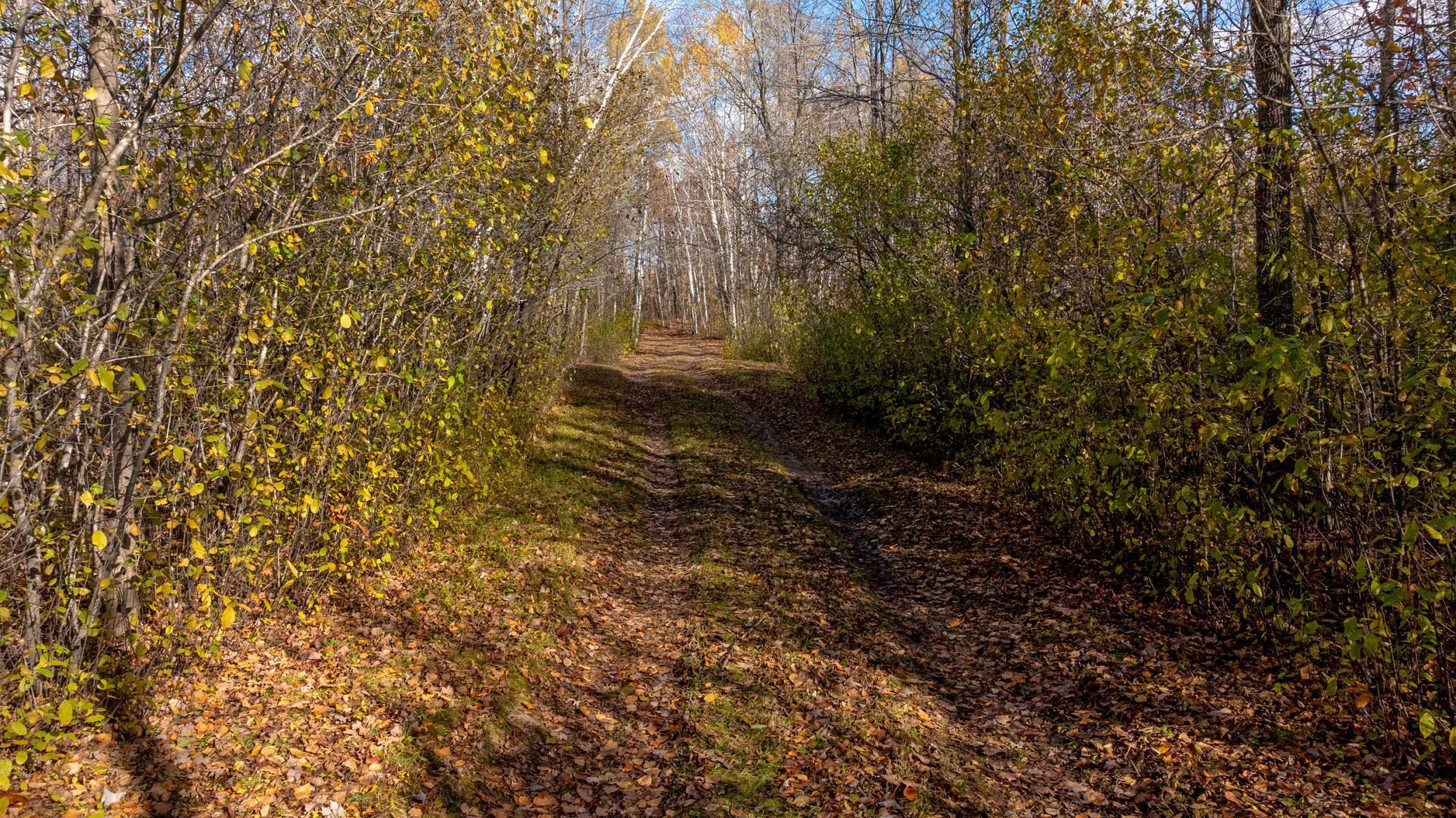 29206 388th Place Aitkin MN 56431