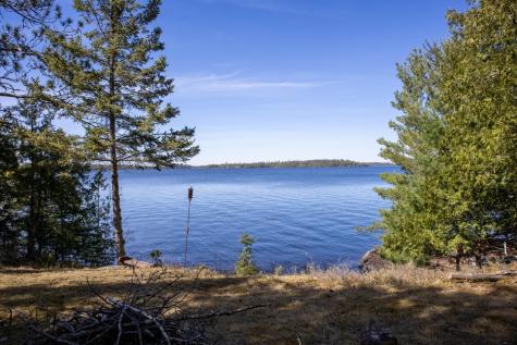1911 Grindstone Island International Falls MN 56649