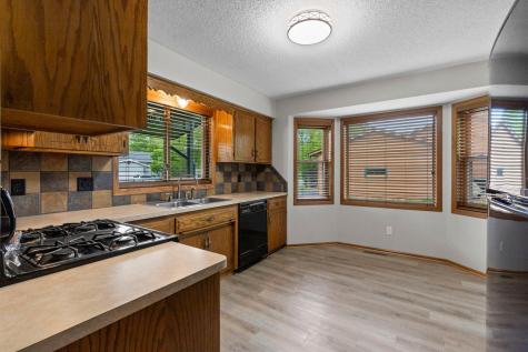 1009 Gramsey Place Burnsville MN 55306