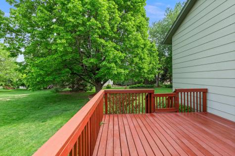 1009 Gramsey Place Burnsville MN 55306