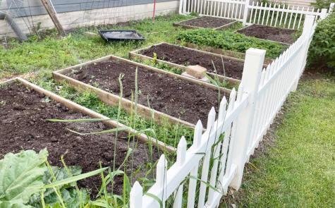 529 W Bancroft Avenue Fergus Falls MN 56537