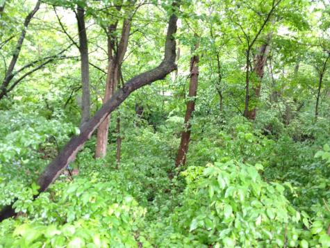 2945 County Road 4 SW Cokato MN 55321