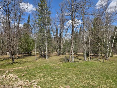 37373 Hanson Road Bigfork MN 56628