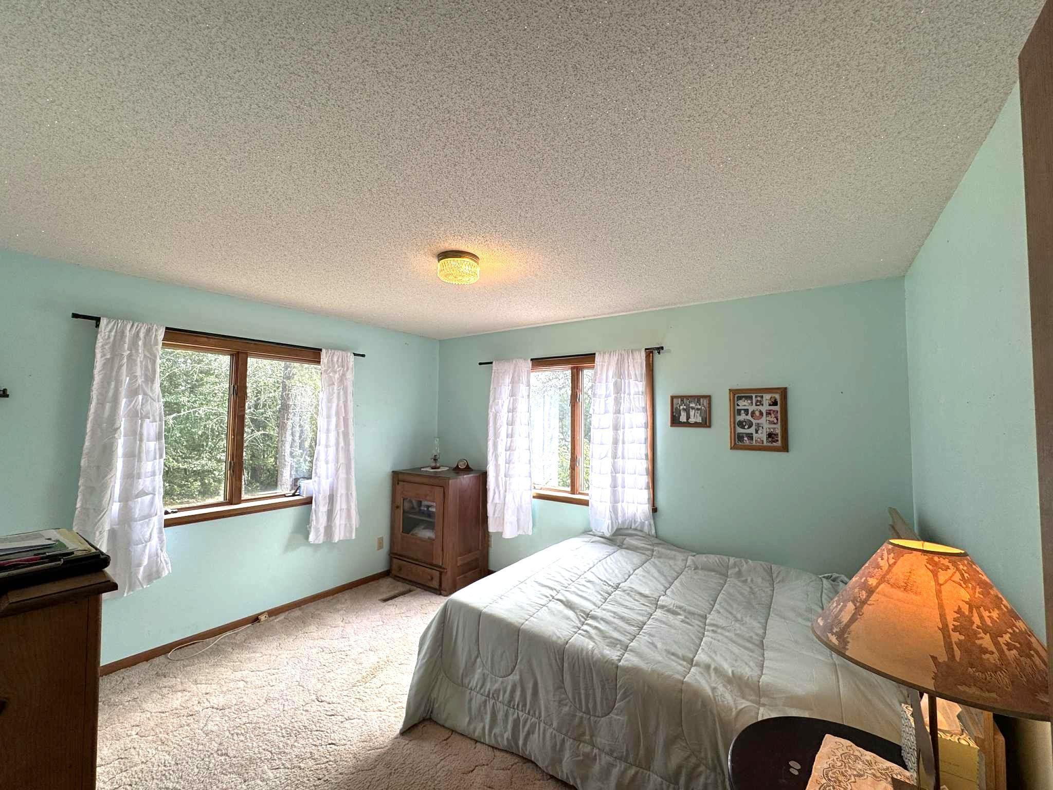 1032 Rainy Lake Road NW Backus MN 56435