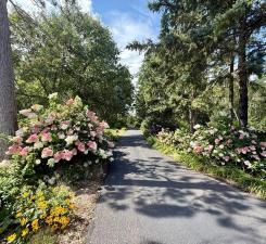 35423 County Highway 46 Park Rapids MN 56470