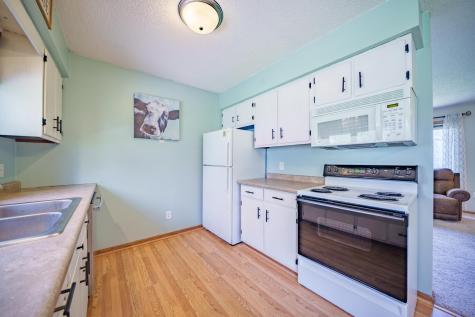 117 Vineyard Street Cannon Falls MN 55009