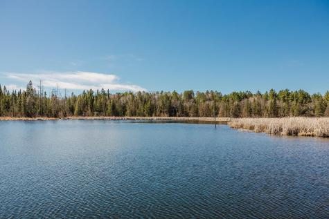 20008 County 84 Akeley MN 56433