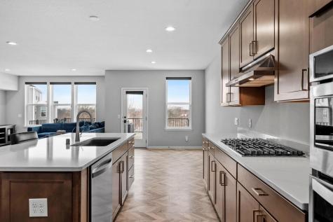 4263 Swallowtail Lane Woodbury MN 55129