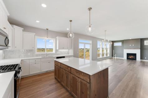 15035 Ardmullivan Lane Rosemount MN 55068