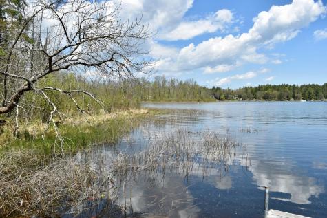 331 S Lake Lawrence Road NE Outing MN 56662