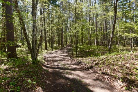 331 S Lake Lawrence Road NE Outing MN 56662