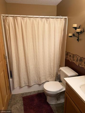 55249 County Road 38 Buffalo Lake MN 55314