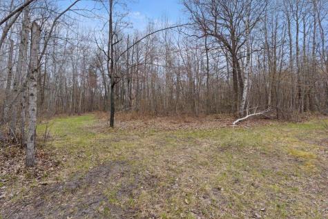 11939 County Road 118 Merrifield MN 56465