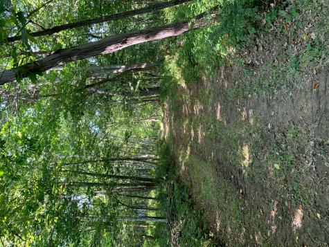 32979 County Road 1 La Crescent MN 55947