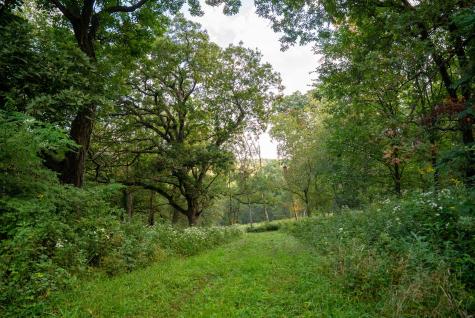 32979 County Road 1 La Crescent MN 55947