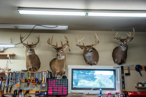 32979 County Road 1 La Crescent MN 55947