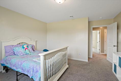 456 Bruce Larson Way Somerset WI 54025