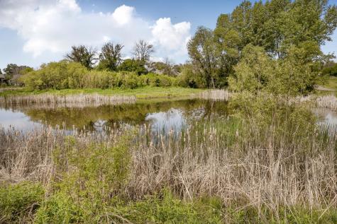 10898 Tyler Court NE Blaine MN 55434