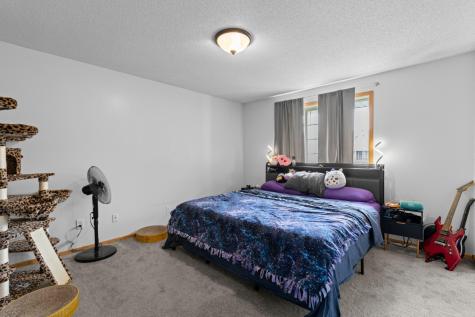 12284 Zealand Circle N Champlin MN 55316