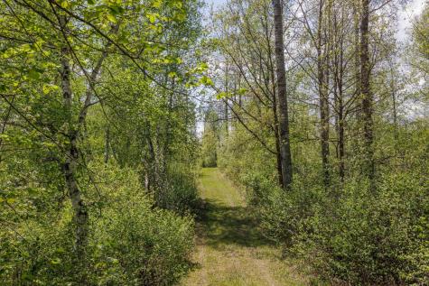 16504 280th Street Park Rapids MN 56470
